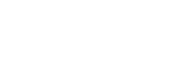 fercenter.it